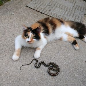 Meet your Posher, Hanna